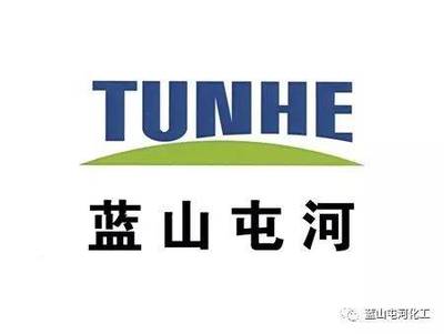 藍山屯河聚酯公司榮獲“自治區綠色工廠”稱號，推動綠色可持續發展